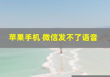 苹果手机 微信发不了语音